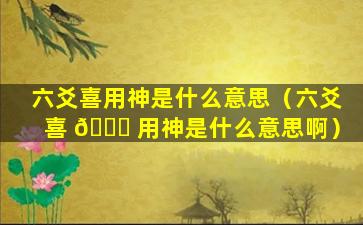 六爻喜用神是什么意思（六爻喜 💐 用神是什么意思啊）